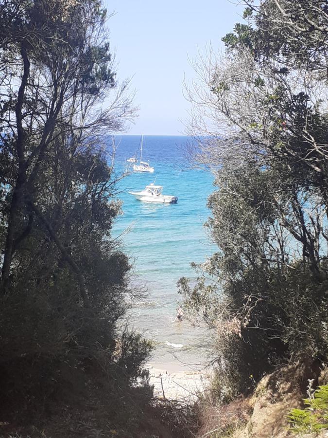 Relax, Tramonti, Natura E Mare. Autentica Maremma